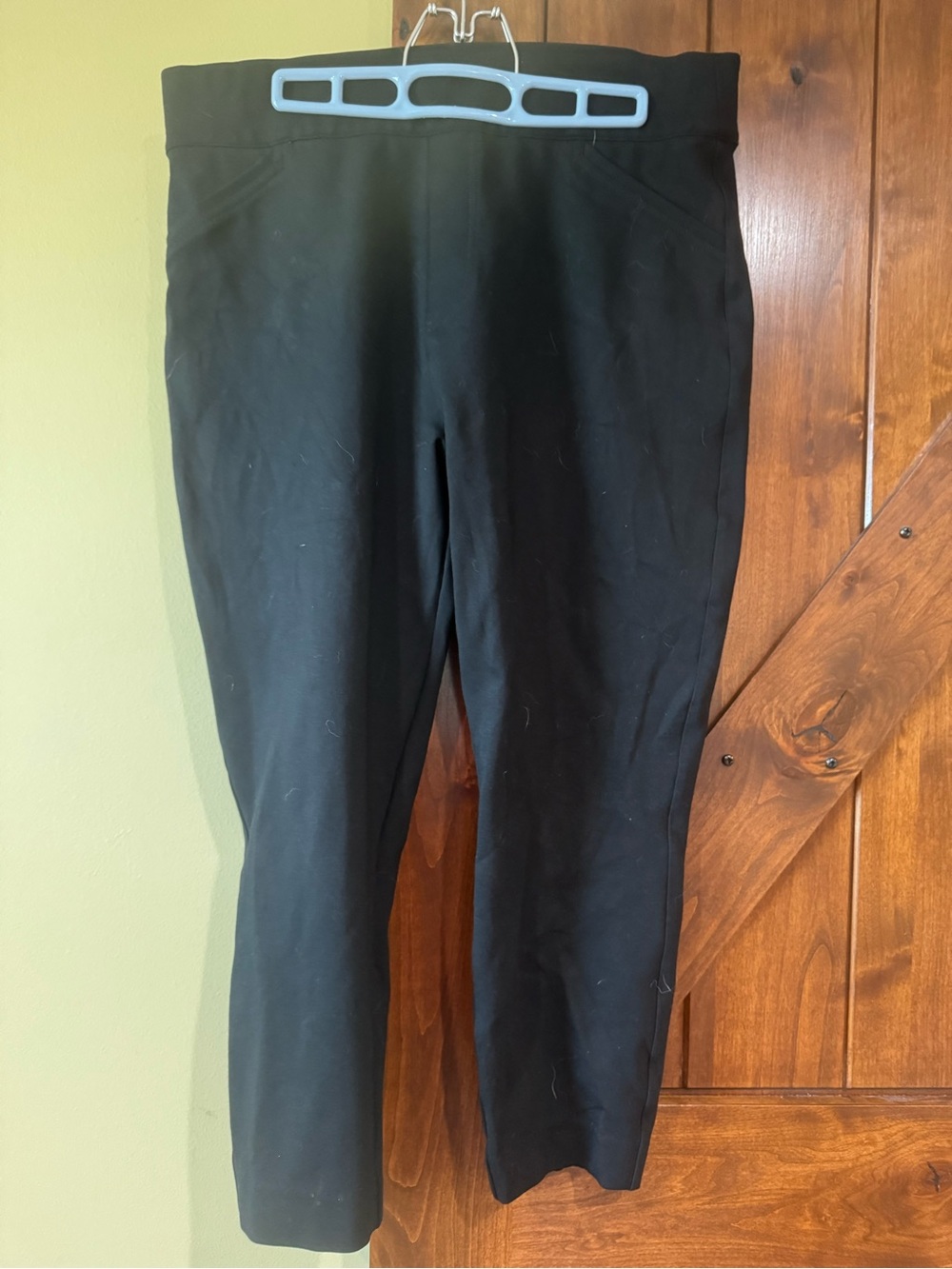 SPANX Black Ankle-Length Pull-On Sculpting Pants